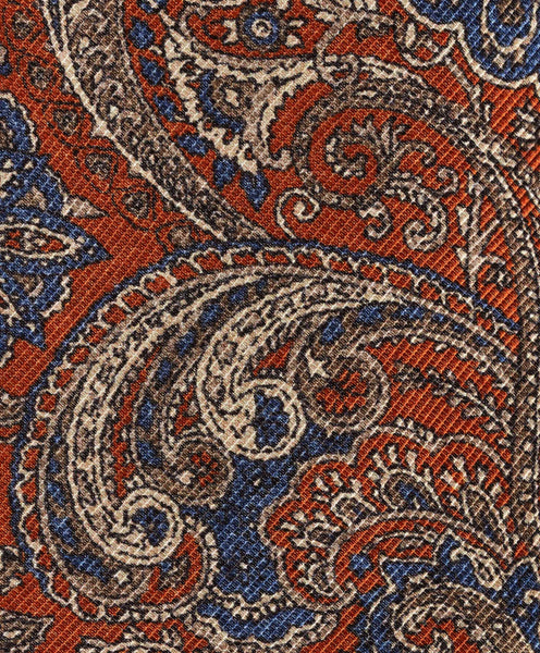NTR09599804 | Pumpkin Paisley Print Tie