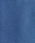 NTR11097423 | Blue Mini Jacquard Tie