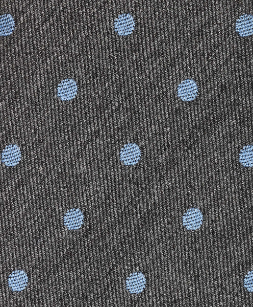 NTR11399020 | Gray & Blue Dot Cashmere Tie