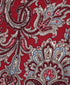NTR11591600 | Red Jacquard Paisley Silk Tie
