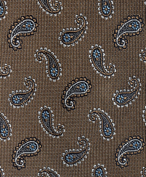 NTR11595206 | Cocoa Paisley Tie