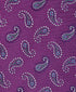 NTR11595652 | Berry Paisley Tie