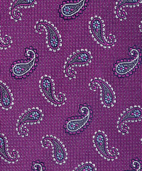 NTR11595652 | Berry Paisley Tie