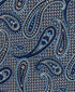 NTR11597412 | Navy Paisley Tie