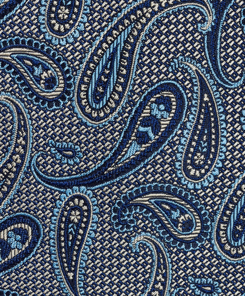 NTR11597412 | Navy Paisley Tie