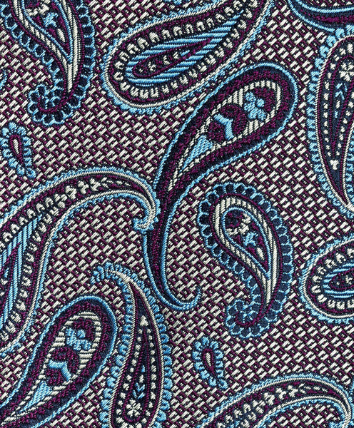NTR11597500 | Purple Paisley Tie