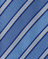 NTR11995454 | Sky & Blue Stripe Tie