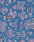NTR12596423 | Blue Paisley Silk Tie