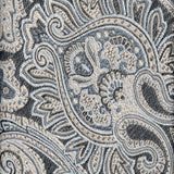 NTR13596010 | Charcoal Paisley Jacquard Silk Tie