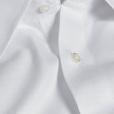 TBCSP3100110 | White Non-Iron Dress Shirt