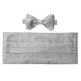 CH05582042 | Silver Paisley Self Tie Bow Tie & Cummerbund Set