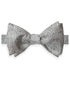 CH05582042 | Silver Paisley Self Tie Bow Tie & Cummerbund Set